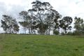 Property photo of 15 Main North Road Rhynie SA 5412