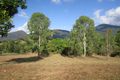 Property photo of 26 Claim Close Goldsborough QLD 4865