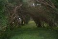 Property photo of 2 Avon Road Rye VIC 3941