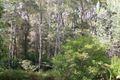 Property photo of 5 Vivian Street Strahan TAS 7468