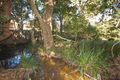 Property photo of 1433 Comboyne Road Killabakh NSW 2429
