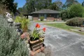 Property photo of 11 Apex Court Foster VIC 3960