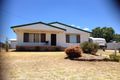 Property photo of 28 Market Street Warialda NSW 2402