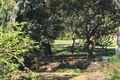 Property photo of 10 Irwin Place Vincentia NSW 2540