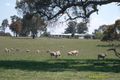 Property photo of 456 Junction Road Tenterden NSW 2365