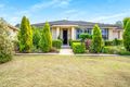 Property photo of 16 Abbott Street Wingham NSW 2429