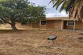 Property photo of 54 Gail Crescent Murray Bridge SA 5253