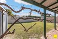Property photo of 5 Hill Place Ledge Point WA 6043