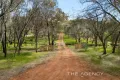 Property photo of 61 Rail Close Bakers Hill WA 6562