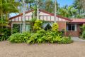 Property photo of 9 Cicada Close Tewantin QLD 4565