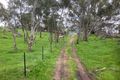 Property photo of 219 Sugar Loaf Hill Road Mount McKenzie SA 5353