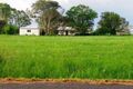 Property photo of 299 Drinan Road Drinan QLD 4671