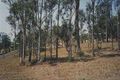 Property photo of 2 Rosella Drive Wingham NSW 2429