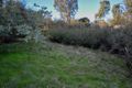 Property photo of 18 Fossickers Trail Goughs Bay VIC 3723