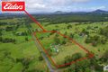 Property photo of 1313 Comboyne Road Killabakh NSW 2429