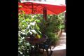 Property photo of 5 Wattle Crescent Tea Tree Gully SA 5091