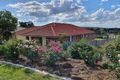 Property photo of 47 Cheihk Crescent Collingwood Park QLD 4301
