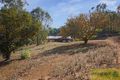 Property photo of 535 River Road Dwellingup WA 6213