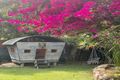 Property photo of 870 David Low Way Marcoola QLD 4564
