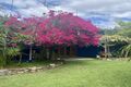 Property photo of 870 David Low Way Marcoola QLD 4564