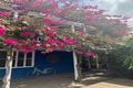Property photo of 870 David Low Way Marcoola QLD 4564