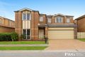 Property photo of 19 Amhurst Drive Narre Warren South VIC 3805