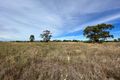 Property photo of LOT 52 Bogan Street Bogan Gate NSW 2876