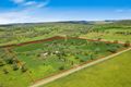 Property photo of 317 Murphy Road Linthorpe QLD 4356