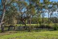 Property photo of 131 Morgans Road Mount White NSW 2250