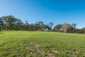Property photo of 131 Morgans Road Mount White NSW 2250