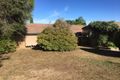 Property photo of 283 Tracy Street Lavington NSW 2641