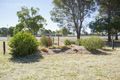 Property photo of 207/110 Dappo Road Narromine NSW 2821