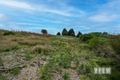 Property photo of 6 Walker Street Waratah TAS 7321