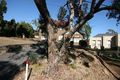 Property photo of 6 Moasca Avenue Panorama SA 5041