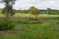Property photo of 29 Green Valley Court North Isis QLD 4660