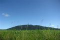 Property photo of LOT 202/202 Crossan Road Midgenoo QLD 4854