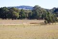 Property photo of 903 Ankers Road Strathbogie VIC 3666