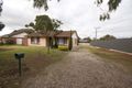 Property photo of 1 Anita Avenue Gilles Plains SA 5086