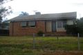 Property photo of 41 Jaeger Avenue Gunnedah NSW 2380