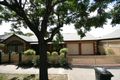 Property photo of 2A Malurus Avenue Lockleys SA 5032
