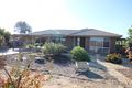 Property photo of 62 Lewis Road Ramco Heights SA 5322