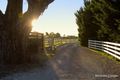 Property photo of 630 Main Drain Road Koo Wee Rup VIC 3981