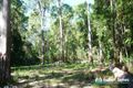 Property photo of 51 Kildeys Road Cootharaba QLD 4565