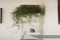 Property photo of 1/10 Leicester Street Heidelberg Heights VIC 3081