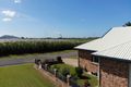 Property photo of 38 Pindar Street Ingham QLD 4850