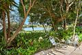 Property photo of 43 Tahiti Avenue Palm Beach QLD 4221