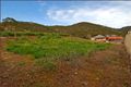 Property photo of 12 King George Avenue Athelstone SA 5076