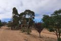 Property photo of 2116 Black Hill Road Black Hill SA 5353