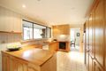 Property photo of 16 Darling Street Mentone VIC 3194