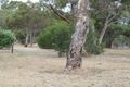 Property photo of 297 States Road Morphett Vale SA 5162